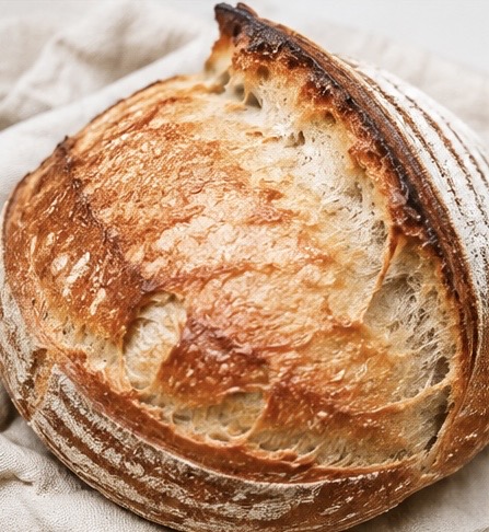 The Sourdough Struggle